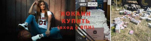 крисы Абаза