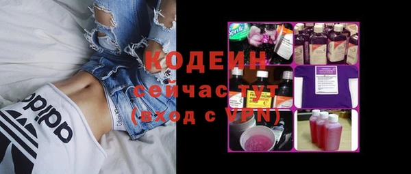 крисы Абаза