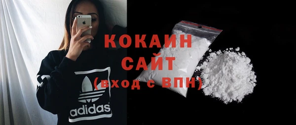крисы Абаза