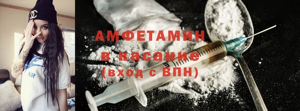 крисы Абаза