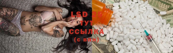 крисы Абаза