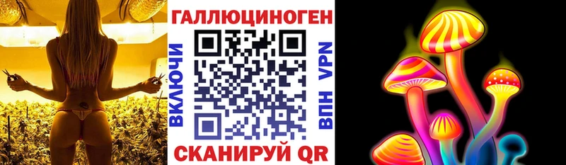 закладки  Канск  Галлюциногенные грибы Psilocybine cubensis 
