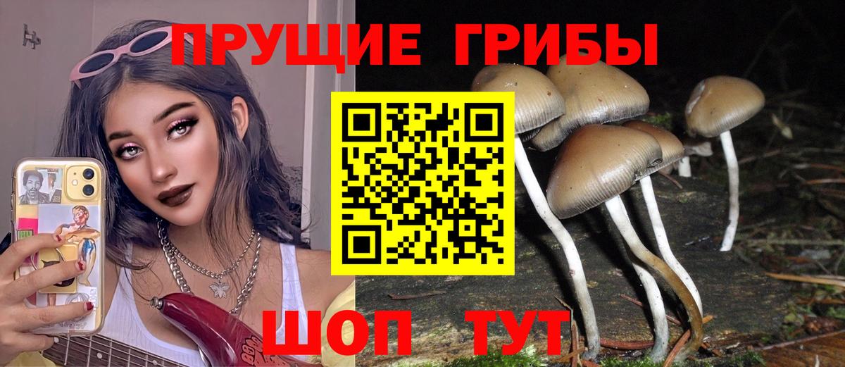 Галлюциногенные грибы ЛСД  Вход с VPN  Канск 