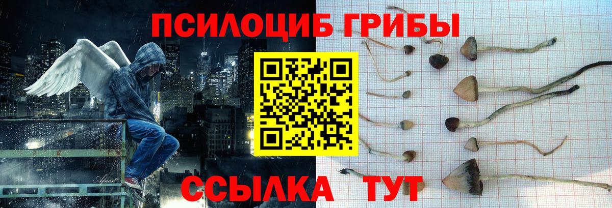 Галлюциногенные грибы MAGIC MUSHROOMS Канск