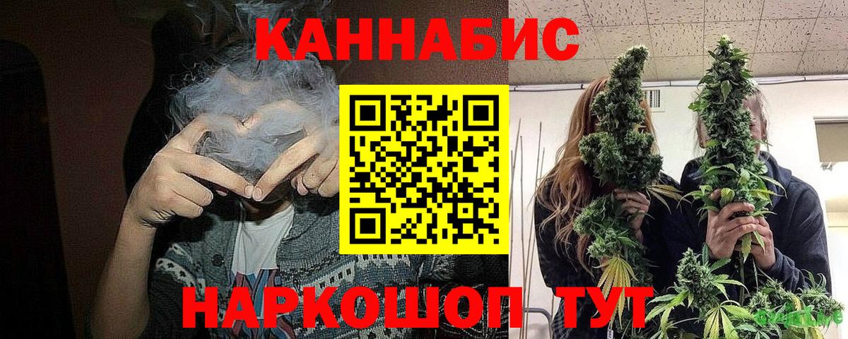 Бошки марихуана White Widow  Вход с VPN  Бошки Шишки марихуана  Бошки марихуана конопля  Канск  Бошки Шишки планчик 